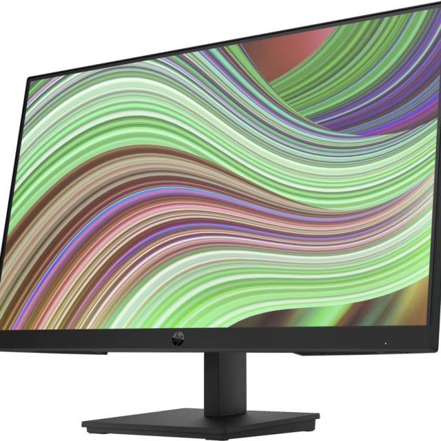 HP P24v G5 60.5 cm (23.8) FHD Monitor