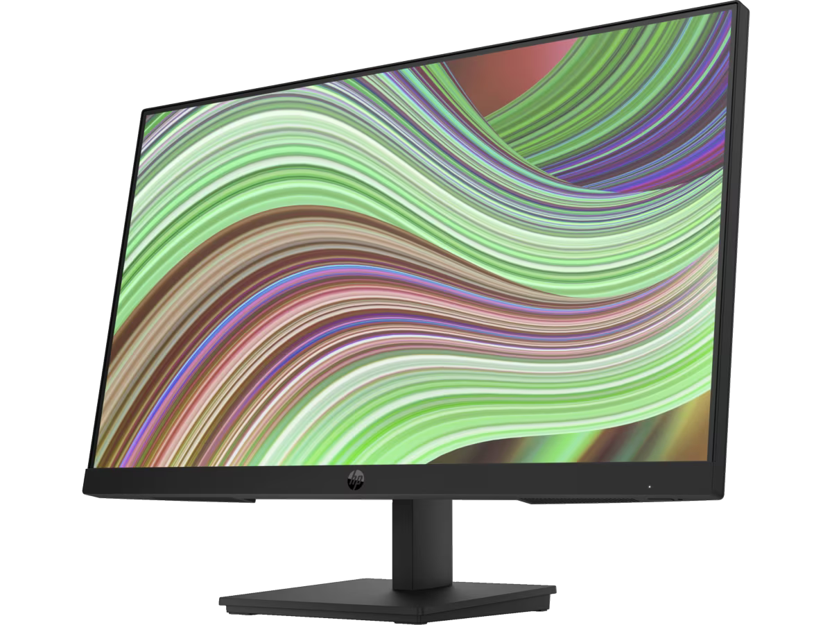 HP P24v G5 60.5 cm (23.8) FHD Monitor
